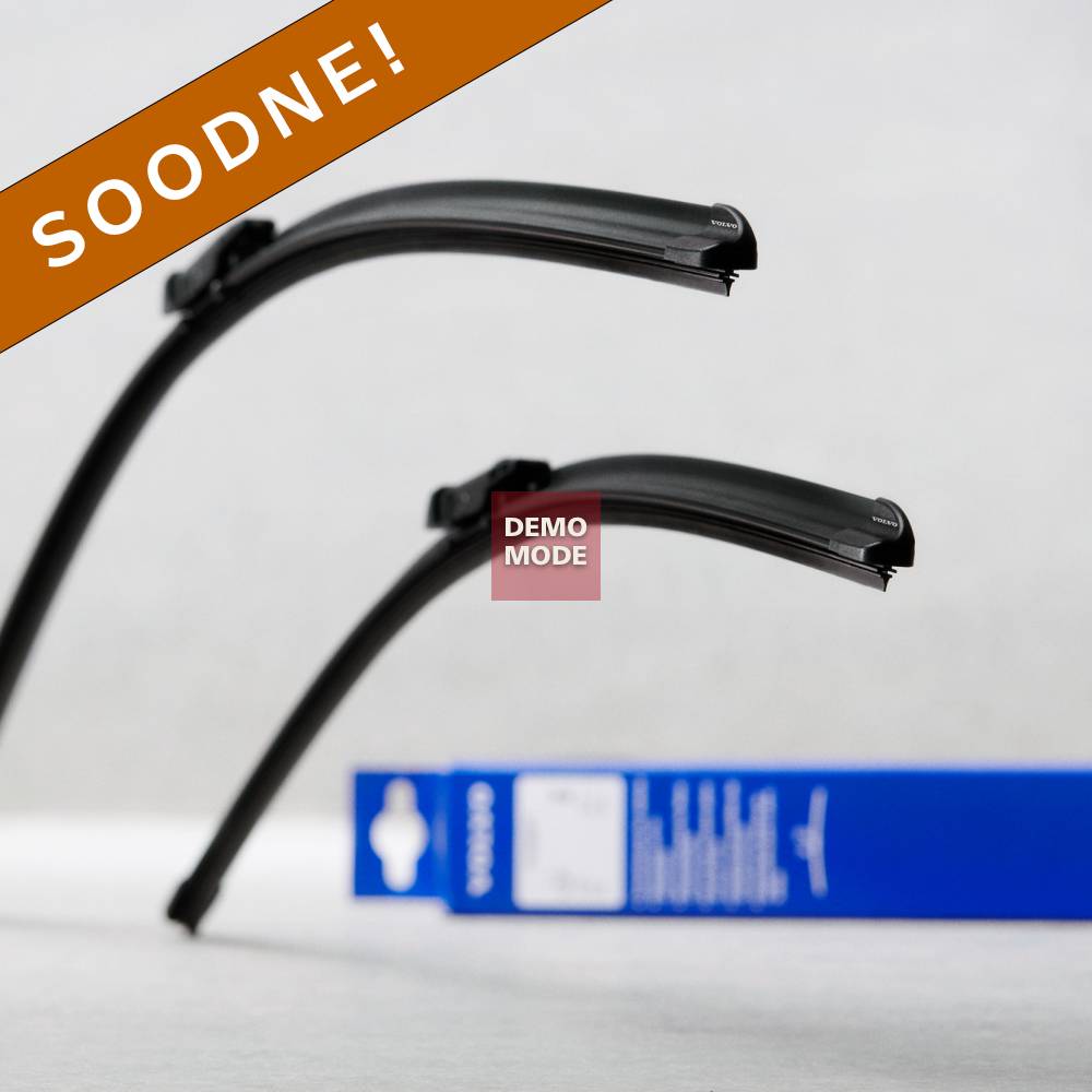 Klaasipuhastajate komplekt esiklaasile